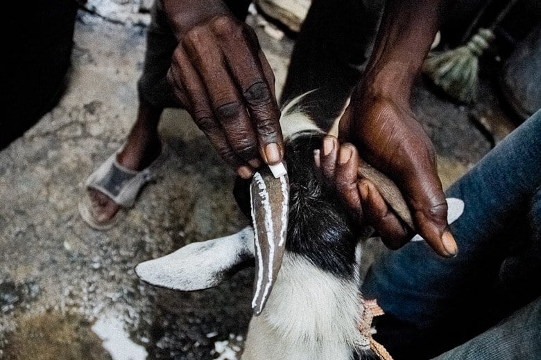 Como a Magia Ressuscitou um Homem em Moçambique