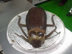 Ideias Criativas Com Bolos
