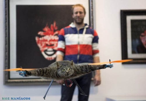 Alguns Malucos Transformaram Gato Morto em Helicóptero