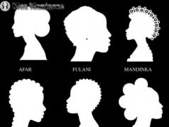Nomes de Alguns Penteados Africanos