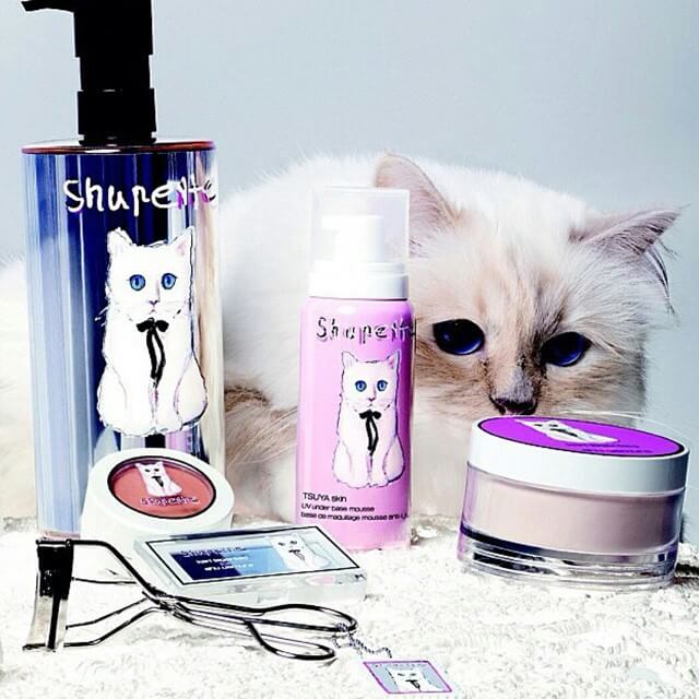 choupette-make