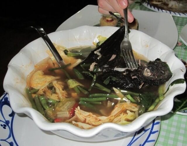 sopa de morcegos