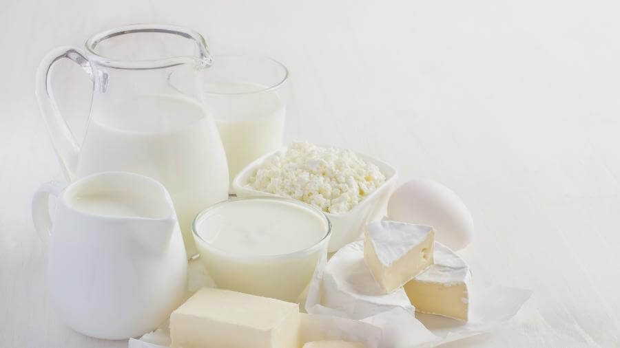 Produtos lácteos integrais