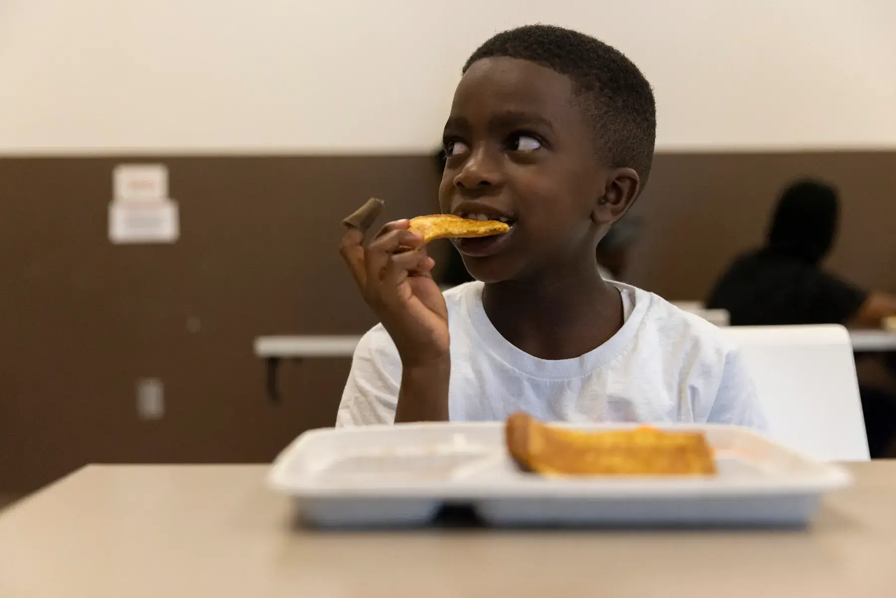 Alimentos Fritos e Gordurosos