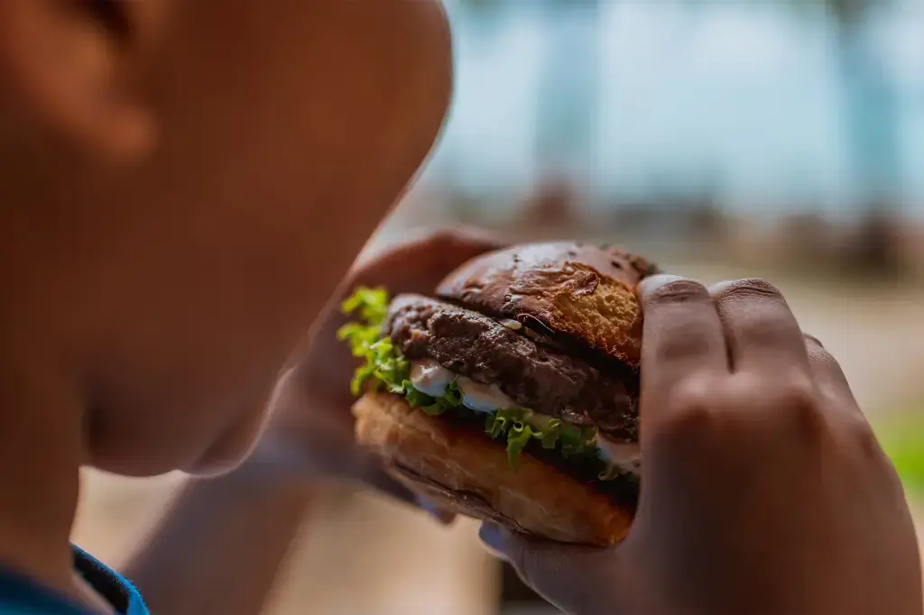 Alimentos Processados e Fast-Food
