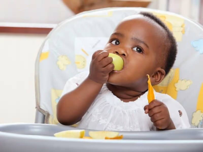 Ofereça um Alimento de Cada Vez