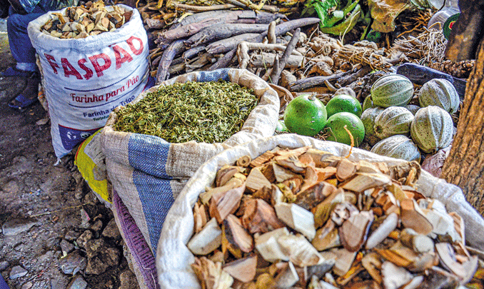 A importância da medicina tradicional na saúde das crianças em Moçambique