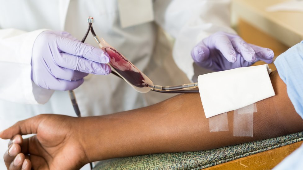 Doenças do Sistema Hematológico