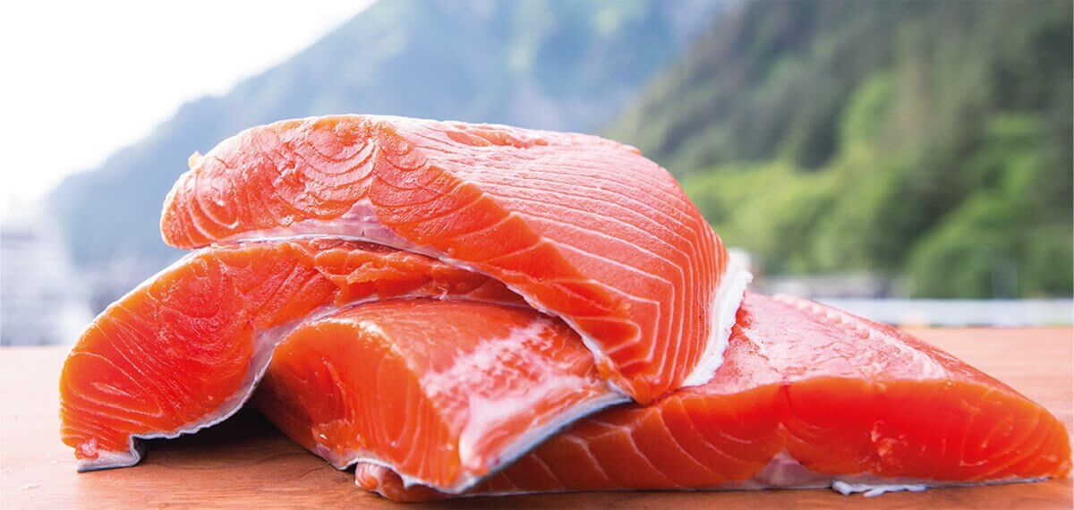 Salmão
