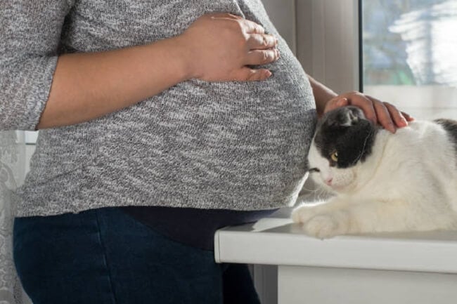 Cuidados que mulheres grávidas com toxoplasmose devem ter