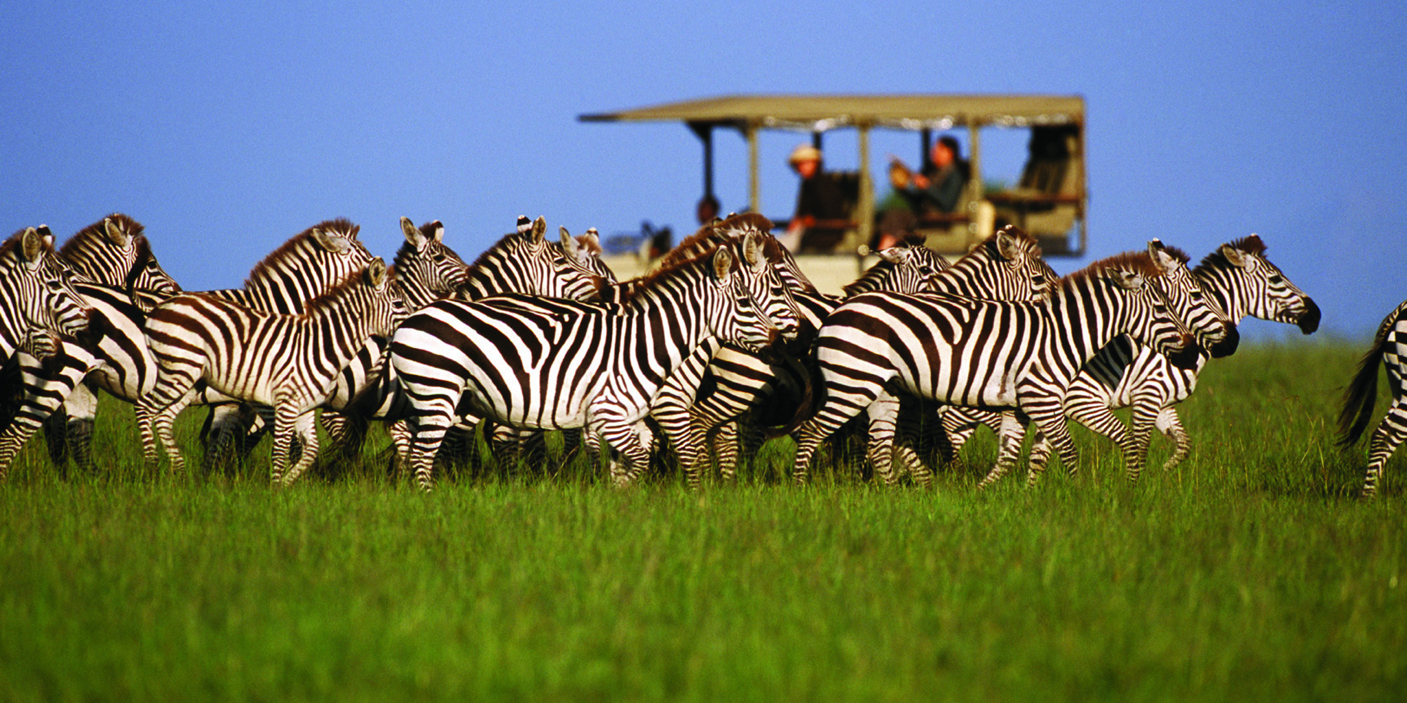 Serengeti, Tanzânia