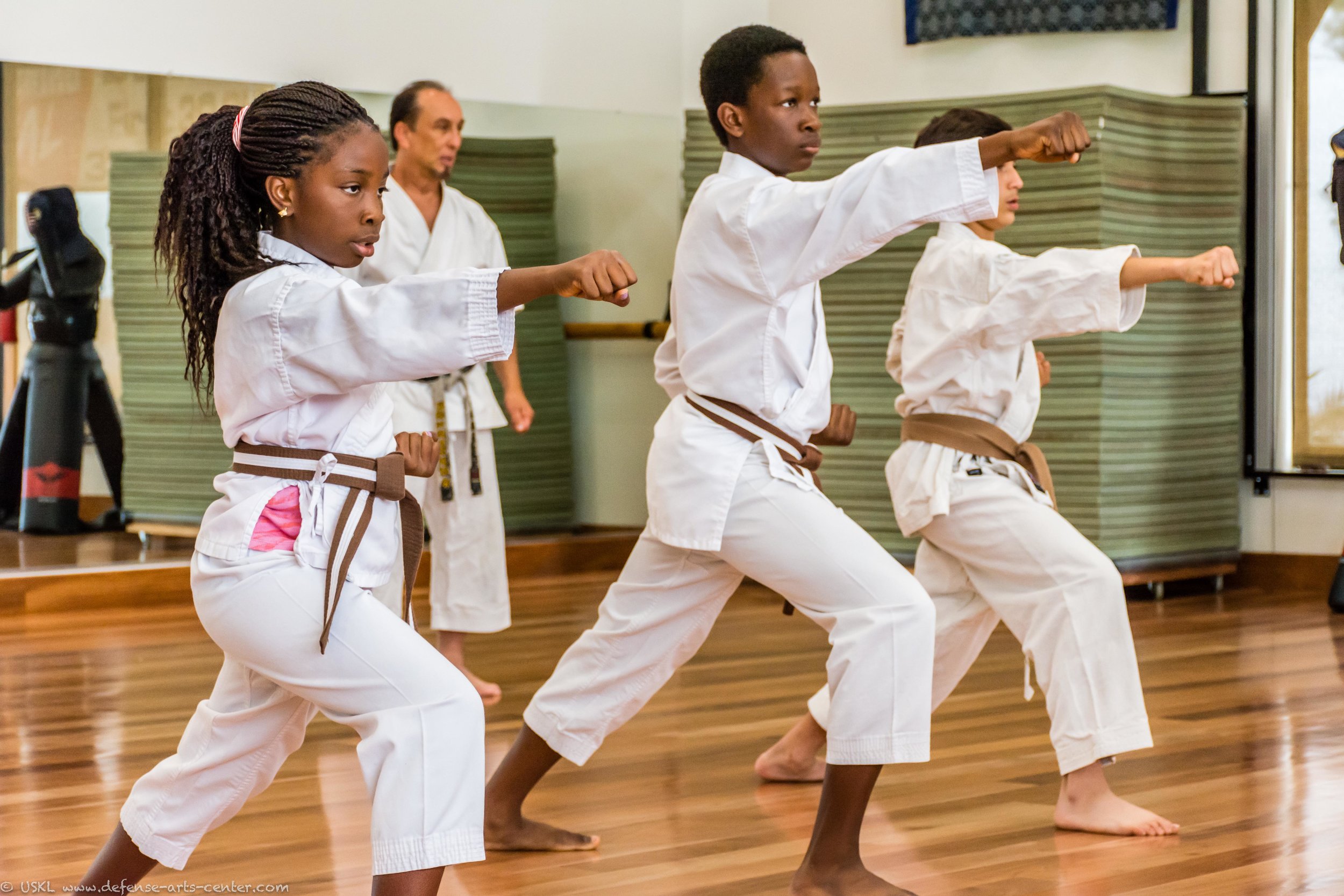 Artes marciais