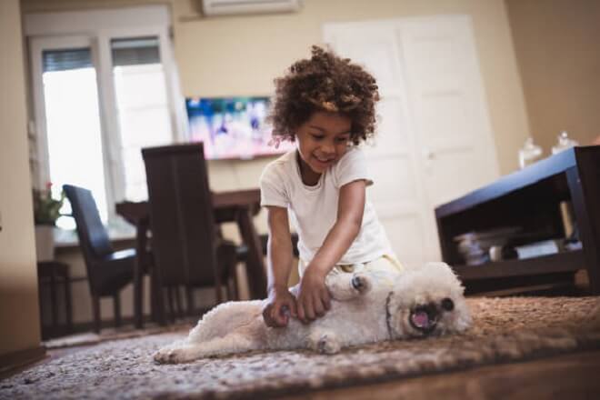 Melhores raças de cães para crescerem com os seus filhos