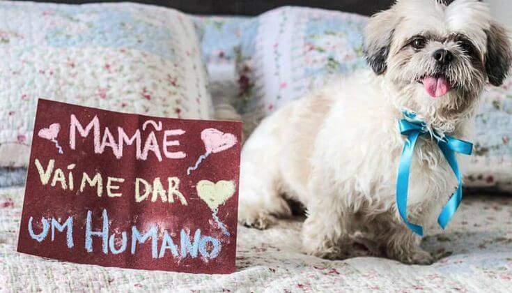 Anúncio com irmãos ou animais de estimação