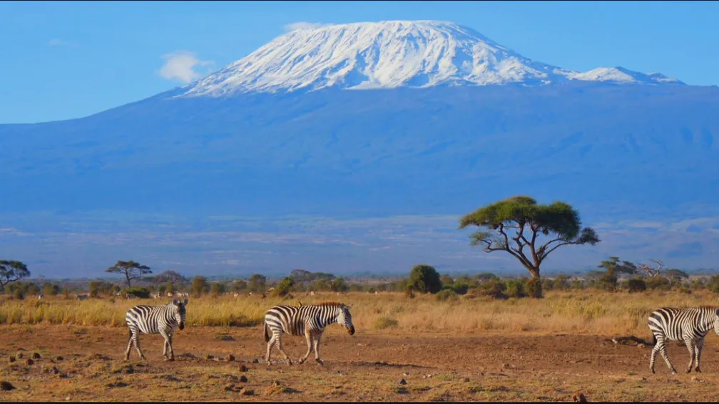 Monte Kilimanjaro, Tanzânia