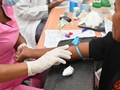 Malária: Sinais, sintomas e cuidados essenciais